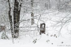 DSC_4936.jpg
