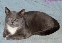 078 Buster-130319-02-Cropped_01.jpg