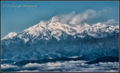 DSC_WLP-19.jpg