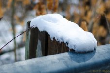 DSC_4964.jpg