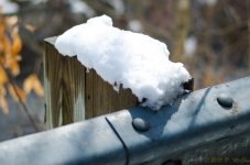 DSC_4965.jpg
