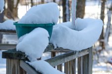 DSC_4972.jpg