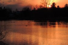 DSCN6735.jpg