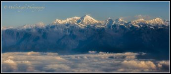 DSC_WLP-21.jpg