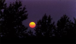 Sunset.jpeg