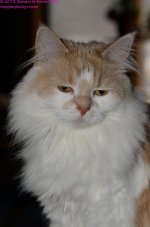 080 Creature-130321_01.jpg