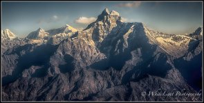 dsc_wlp-22.jpg
