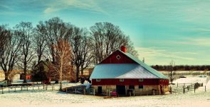 winter grape farm1200.jpg