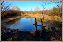 spring walk 043.jpg