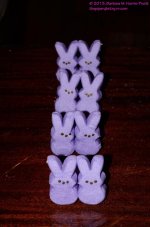081 Peeps on Parade-130322_01.jpg