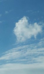 20130221_143824.jpg