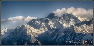 dsc_wlp-24.jpg