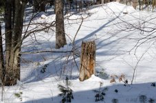 DSC_5013.jpg
