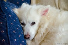 DSC_5016.jpg