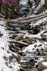 082 Stream-130323_01.jpg