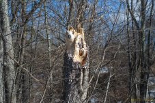 DSC_5066.jpg