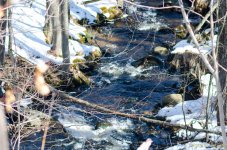 DSC_5069.jpg
