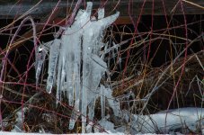DSC_5109.jpg DSC_5109.jpg
