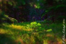 _DSC0138_39_40_41_42_43_44_tonemapped-Edit-Edit-Edit.jpg
