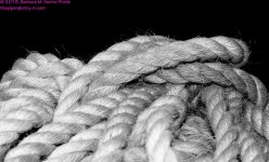 084 Rope-130325-01-Cropped-BW_01.jpg