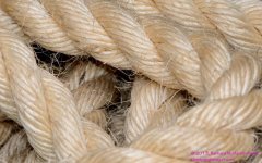 084 Rope-130325-02-Cropped_01.jpg