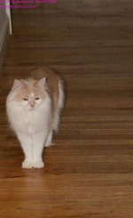 084 Creature-130325-Cropped_01.jpg