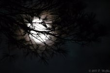 DSC_5112.jpg
