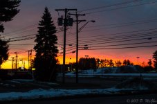 DSC_5119.jpg
