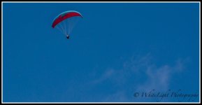 DSC_4671_WLP.jpg