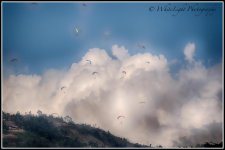DSC_4645_HDR_WLP.jpg