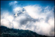DSC_4664_WLP-2.jpg