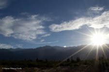 DSC_0288.jpg