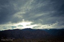 DSC_0225.jpg