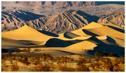 _DSC9296-dunes.jpg