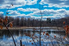 DSC_5222_3_4_tonemapped.jpg