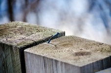 DSC_5232.jpg