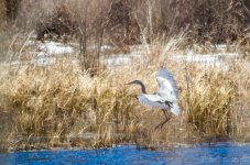 DSC_5253.jpg