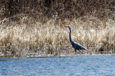 DSC_5263.jpg