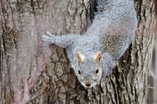 DSC_5291.jpg