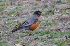 DSC_5297.jpg