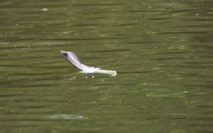 DSC_8314.jpg