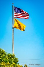 D73_0736-Edit.jpg