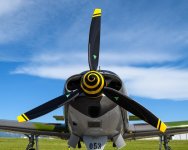 Fly-in-208.jpg