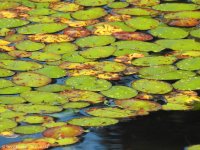 DSCN2147.jpg