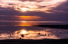 Antelope Island Sunset #4 6-4-2017.jpg