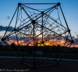 Web at the Park 6-10-2017.jpg