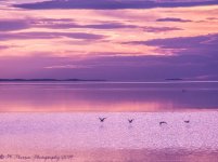 Sunset at the Marina #4 6-15-2017.jpg