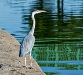 DSC_7600.jpg
