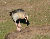 DSC_7582.jpg