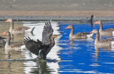 DSC_7618.jpg